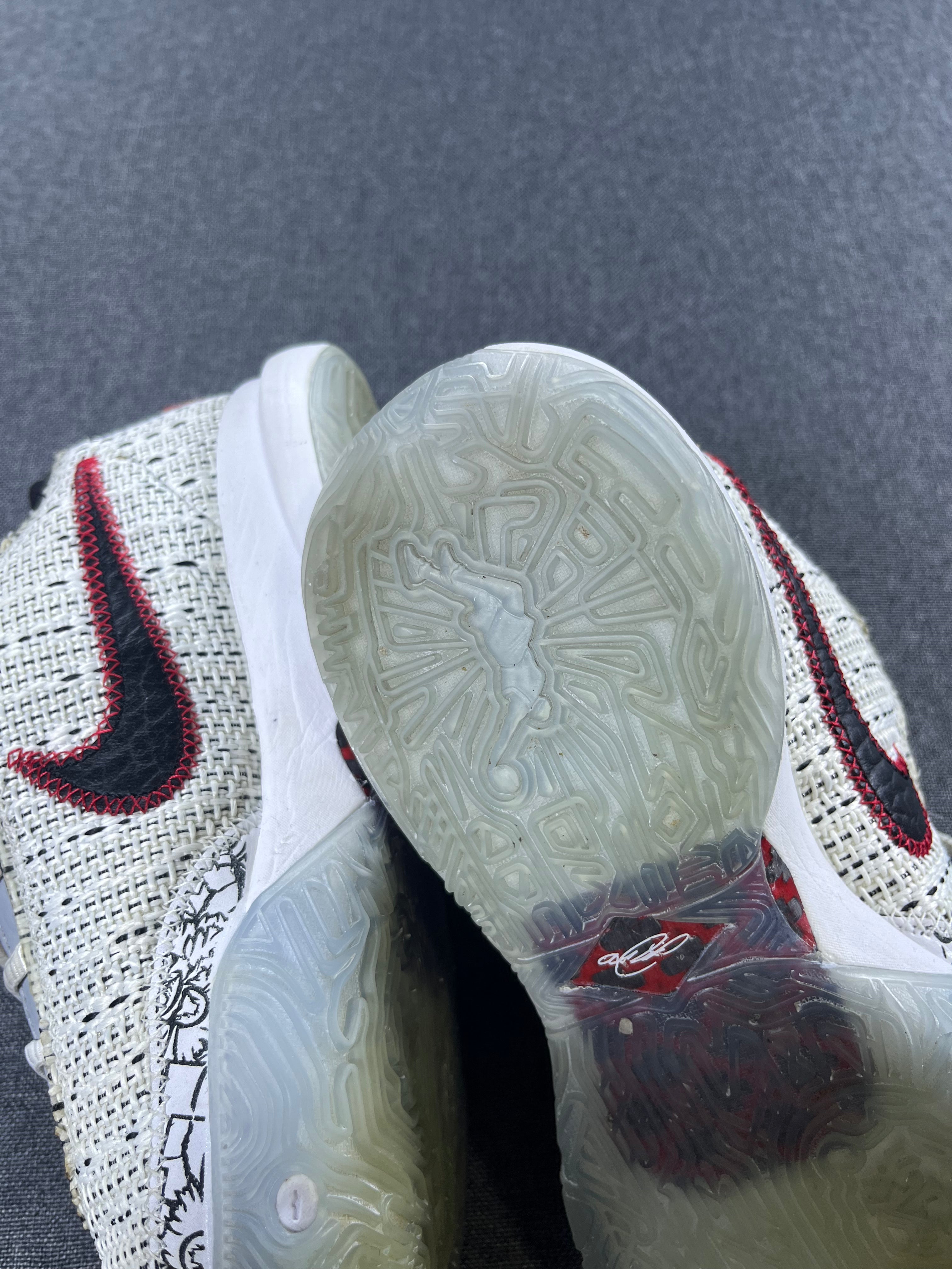 Nike LeBron 20 "The Debut"